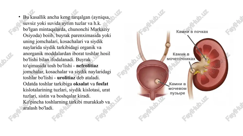 buyrak tosh kasalliklari patologik fiziologiyasi pptx — PPTX