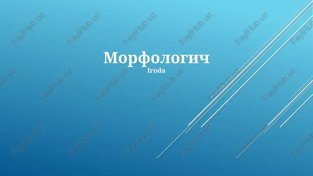 morfologiya — PPTX