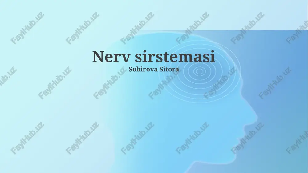 nerv sirstemasi — PPTX