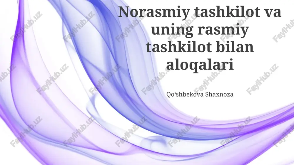 nodavlat notijorat tashkilotlari va hukumat tashkilotlari — PPTX