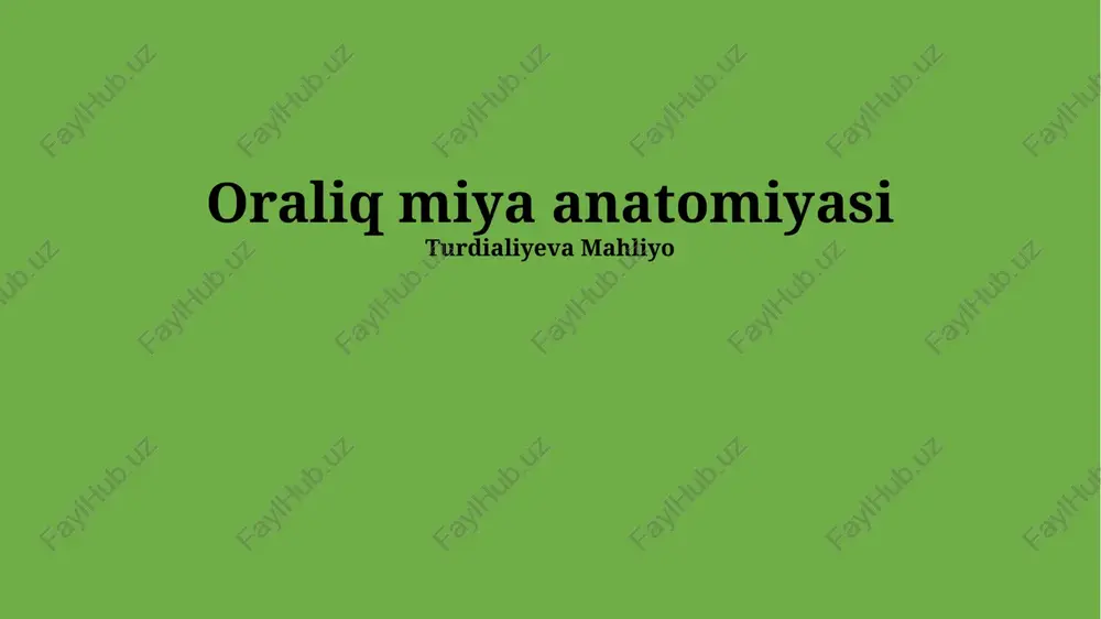 oraliq miya anatomiyasi — PPTX