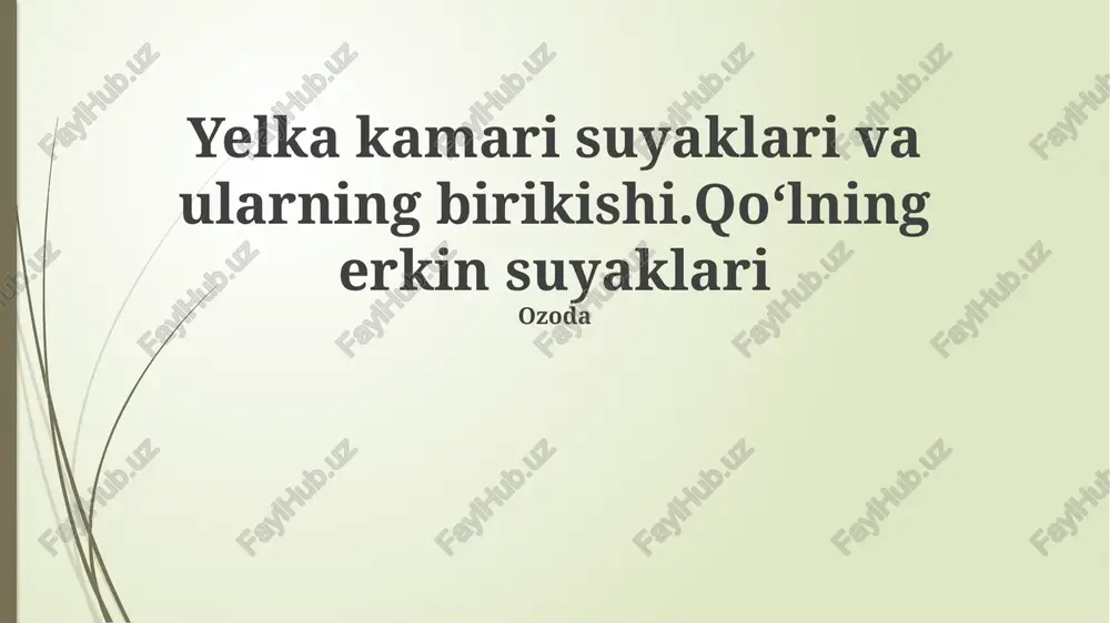 chanoq suyaklari anatomiyasi — PPTX