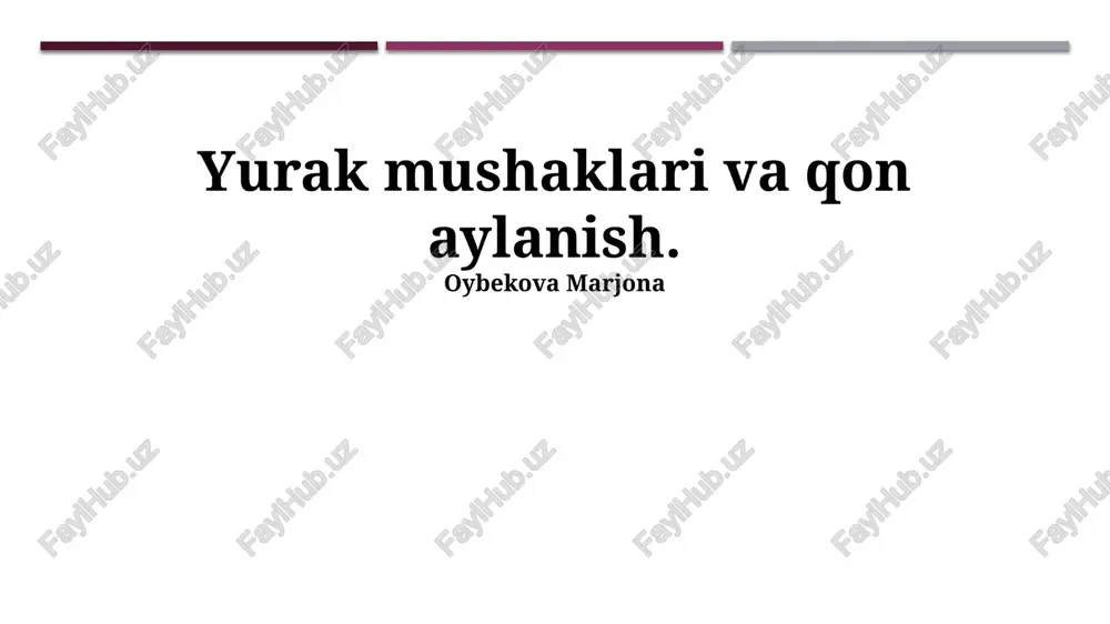 yurak mushaklari va qon aylanish — PPTX