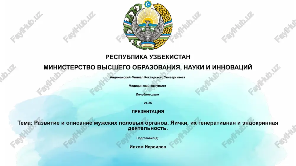 razvitie i opisanie mujskix polovix organov — PPTX