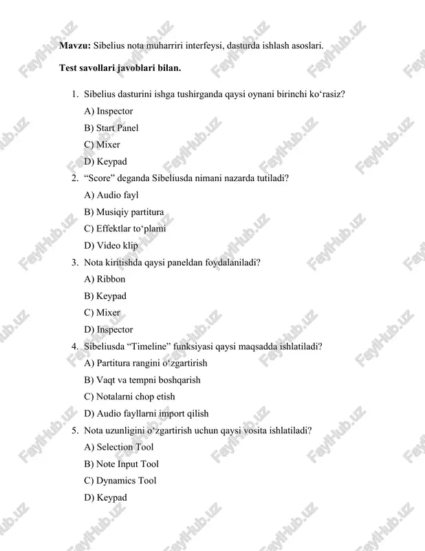 sibelius nota muharriri interfeysi, dasturda ishlash asoslari — DOCX