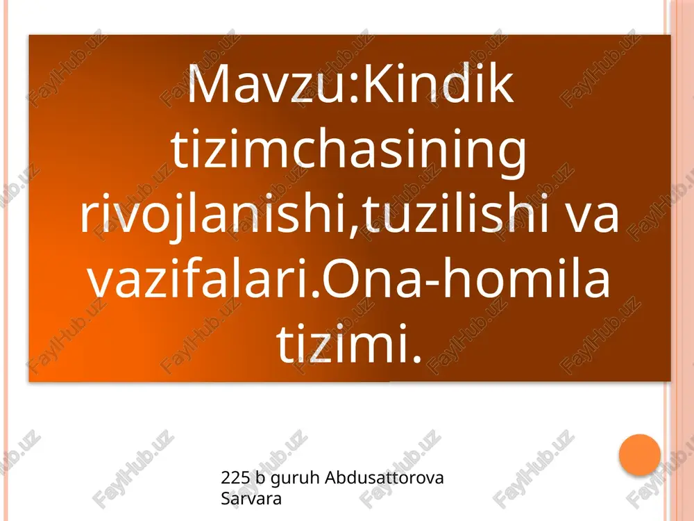 kindiktizimchasining rivojlanish bosqichlari — PPTX