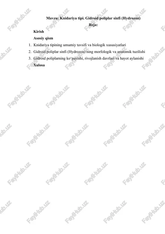 knidariya tipi. gidroid poliplar sinfi (hydrozoa) — DOCX