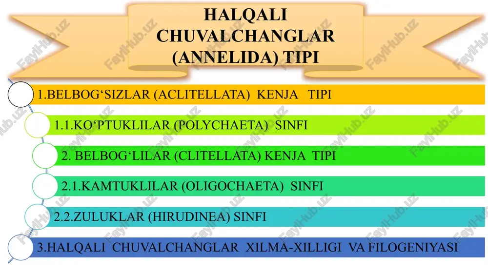 halqali chuvalchanglar (annelida)tipi — PPTX