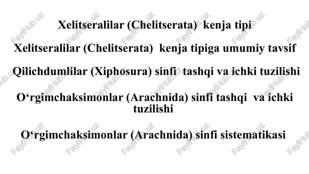 xelitseralilar (chelitserata) kenja tipi — PPTX