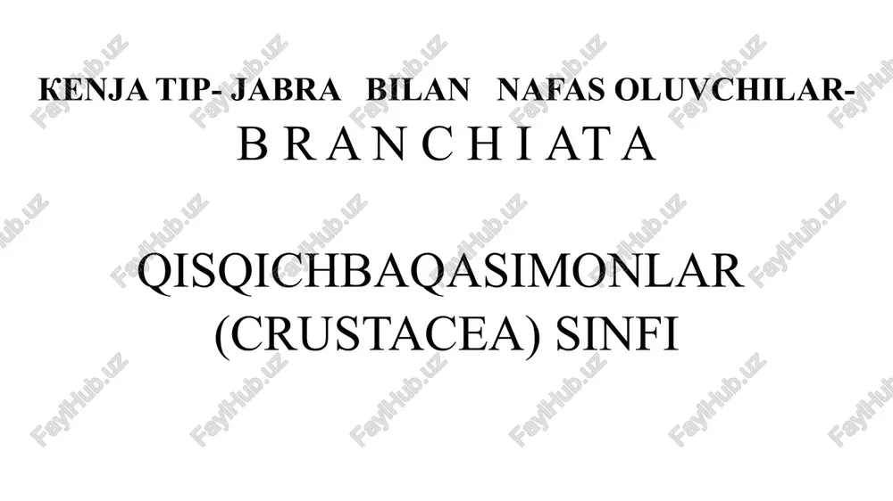 qisqichbaqasimonlar (crustacea) sinfi — PPTX