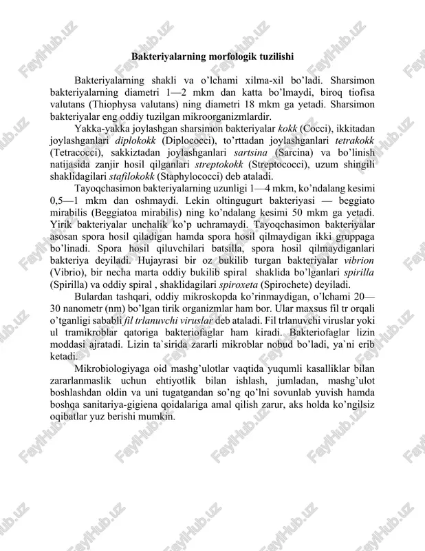 bakteriyalarning morfologik tuzilishi — DOCX