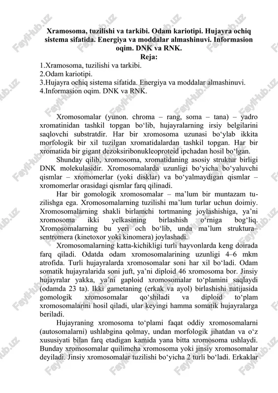 xramosoma, tuzilishi va tarkibi — DOCX