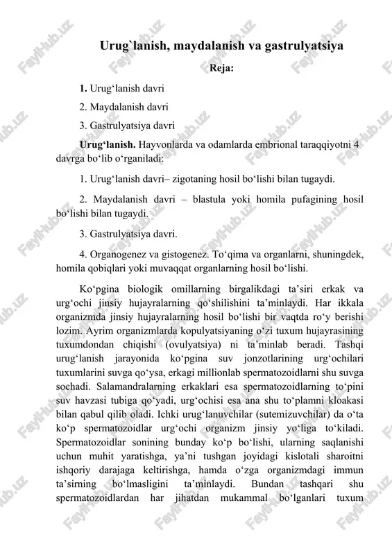 urug`lanish, maydalanish va gastrulyatsiya — DOCX