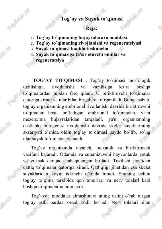tog`ay va suyak to`qimasi — DOCX