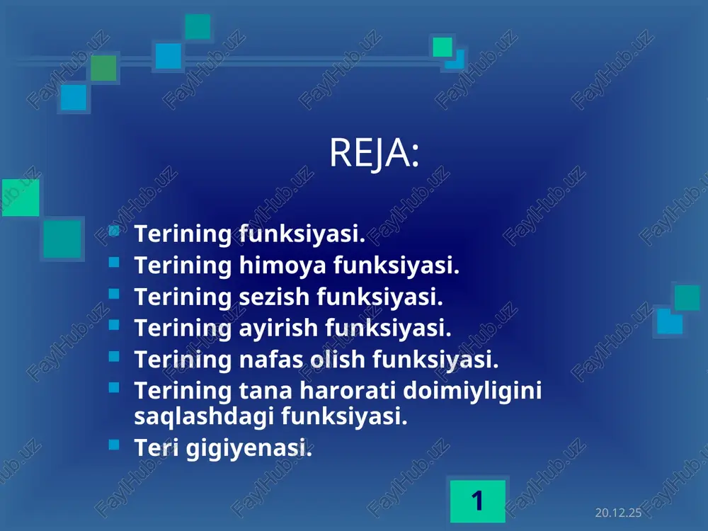 terining funksiyasi — PPT