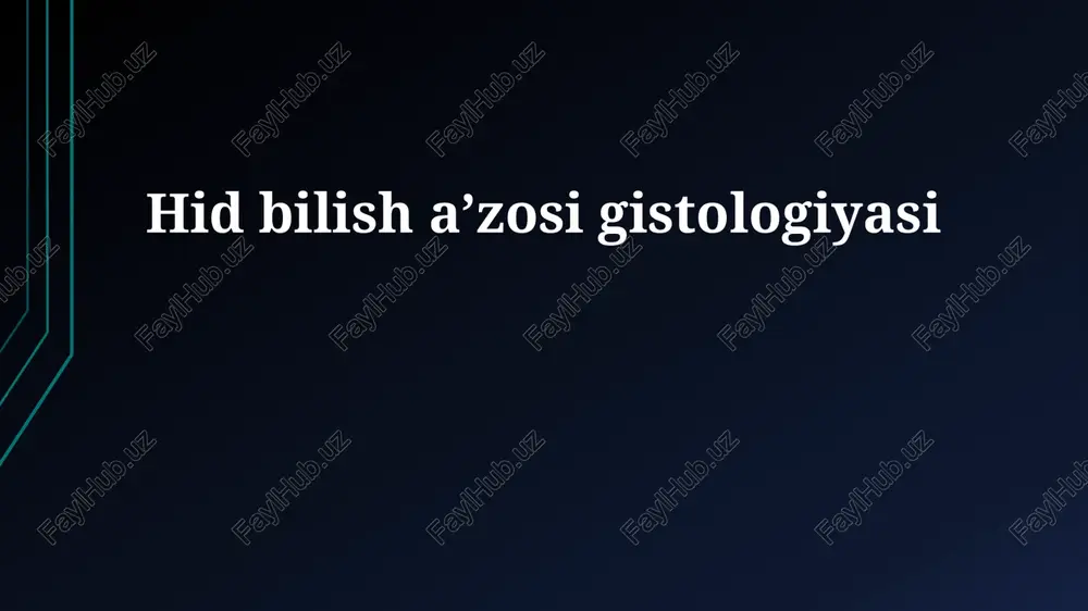 eshitish organi gistologiyasi — PPTX