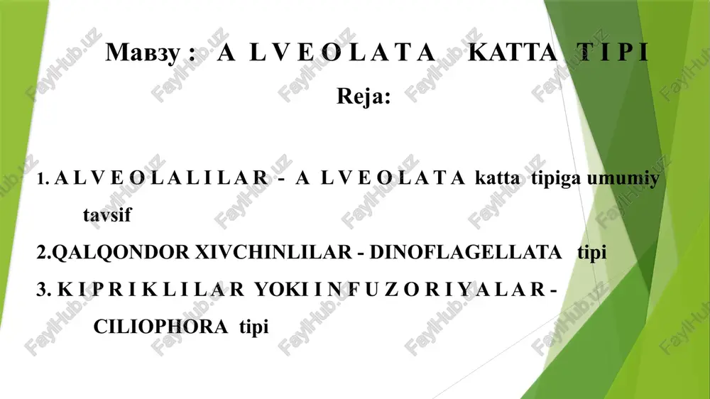 alveolat akattatipi — PPTX