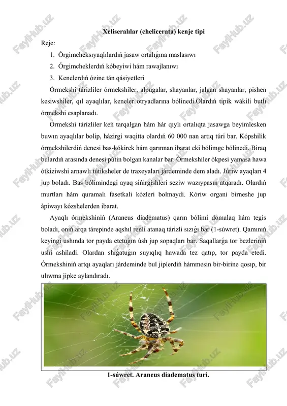 xeliseralılar (chelicerata) kenje tipi — DOCX