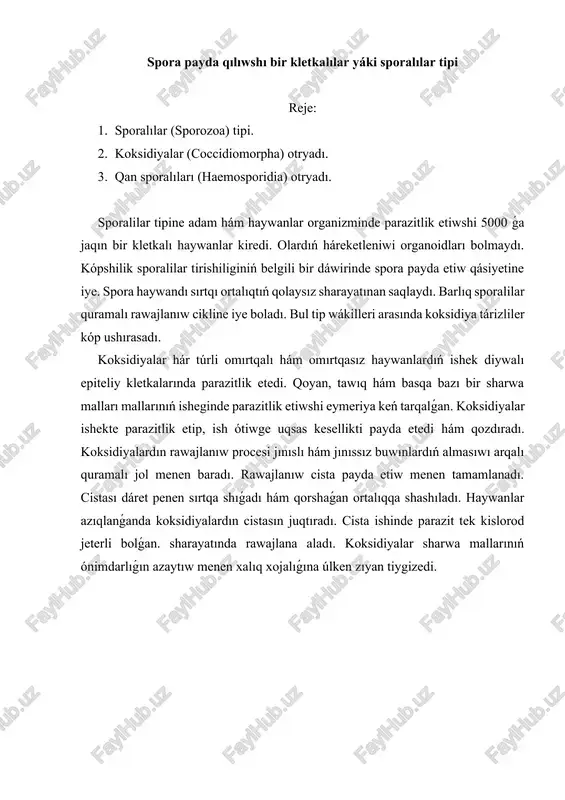 sporalılar tipi — DOCX