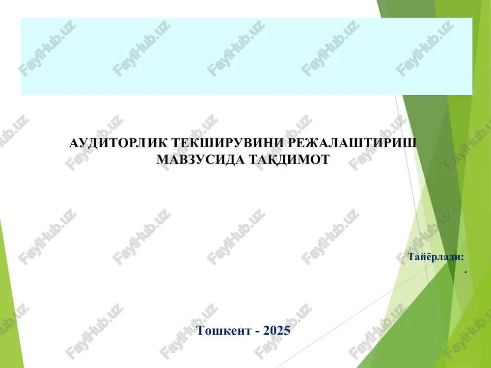 auditorlik tekshiruvini rejalashtirish — PPT