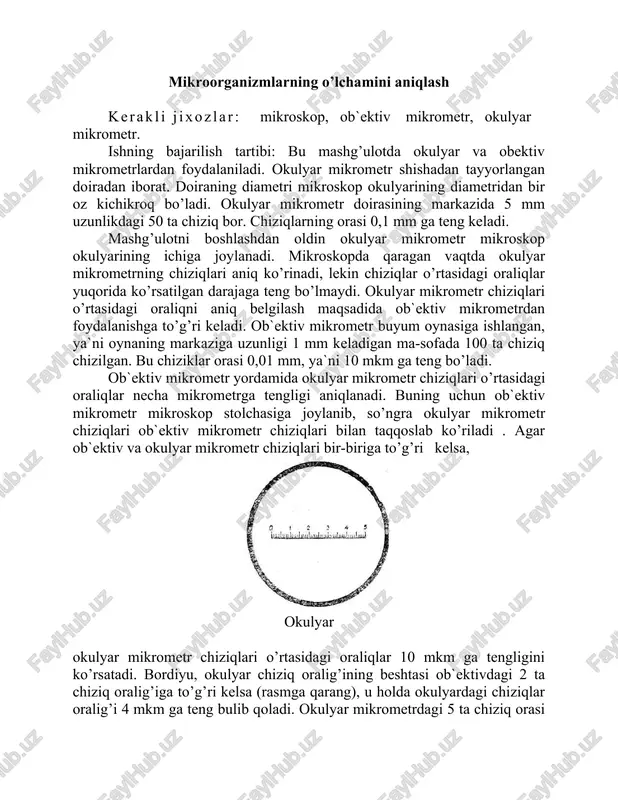 mikroorganizmlarning o’lchamini aniqlash — DOCX