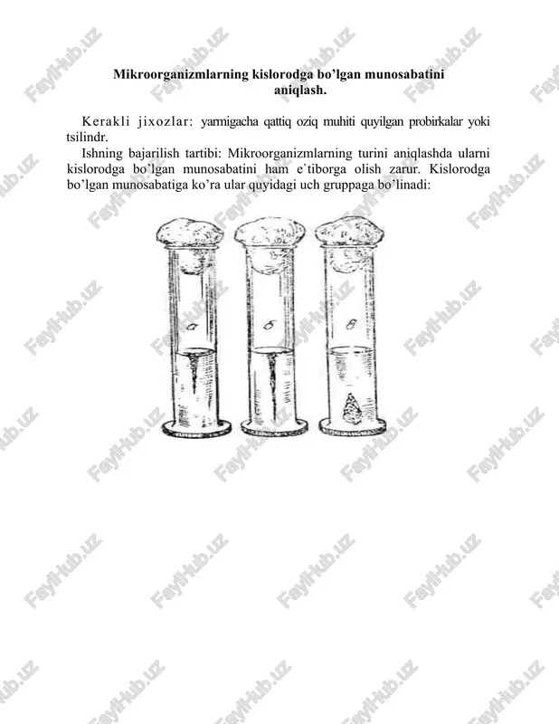 mikroorganizmlarning kislorodga bo’lgan munosabatini aniqlash — DOCX