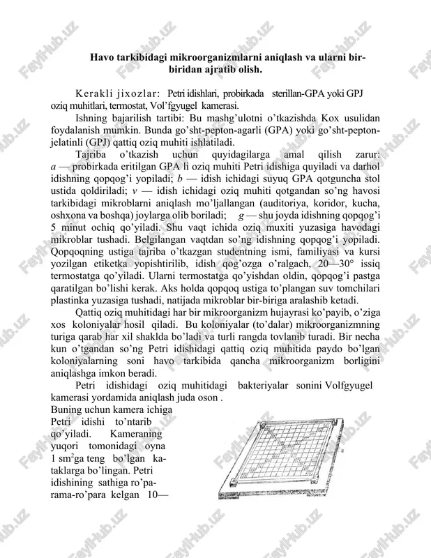 mikroorganizmlarni aniqlash va ajratish — DOCX