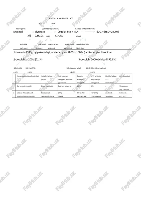 energiya almashinuvi - atf — DOCX