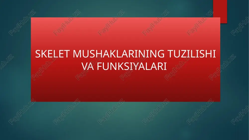skelet mushaklarining tuzilishi va funksiyalari — PPTX