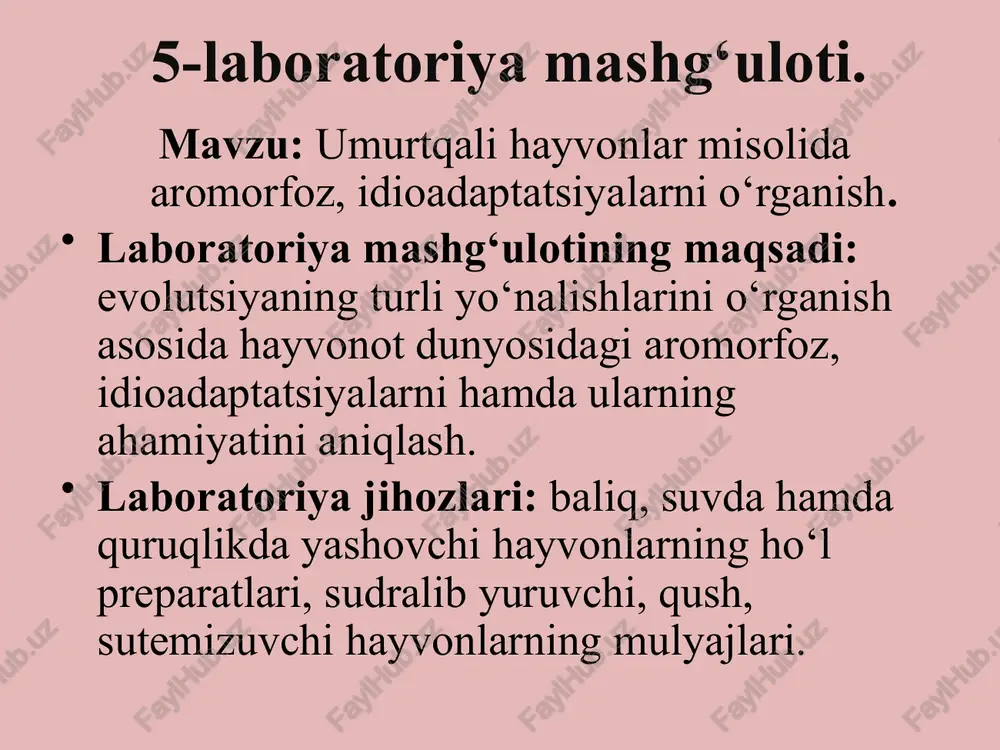 5-laboratoriyamashg‘uloti — PPTX
