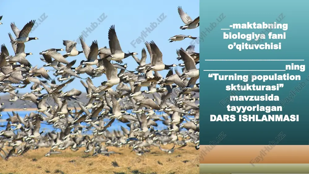 turning populationsktukturasi dars ishlanmasi — PPTX
