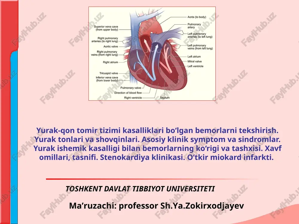 yurak-qon tomir tizimi kasalliklari — PPT