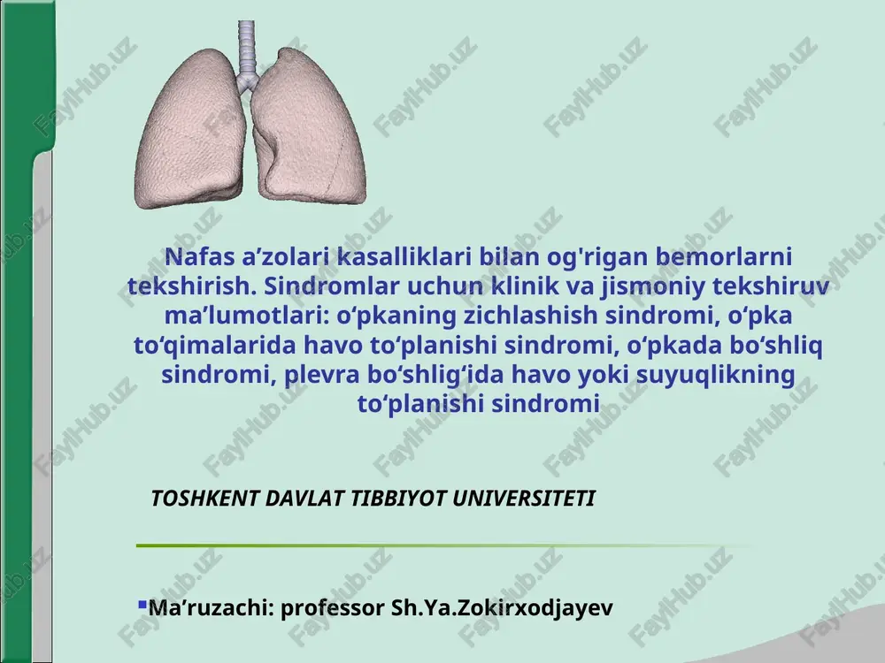 nafas a’zolari kasalliklari bilan og'rigan bemorlarni tekshirish — PPT