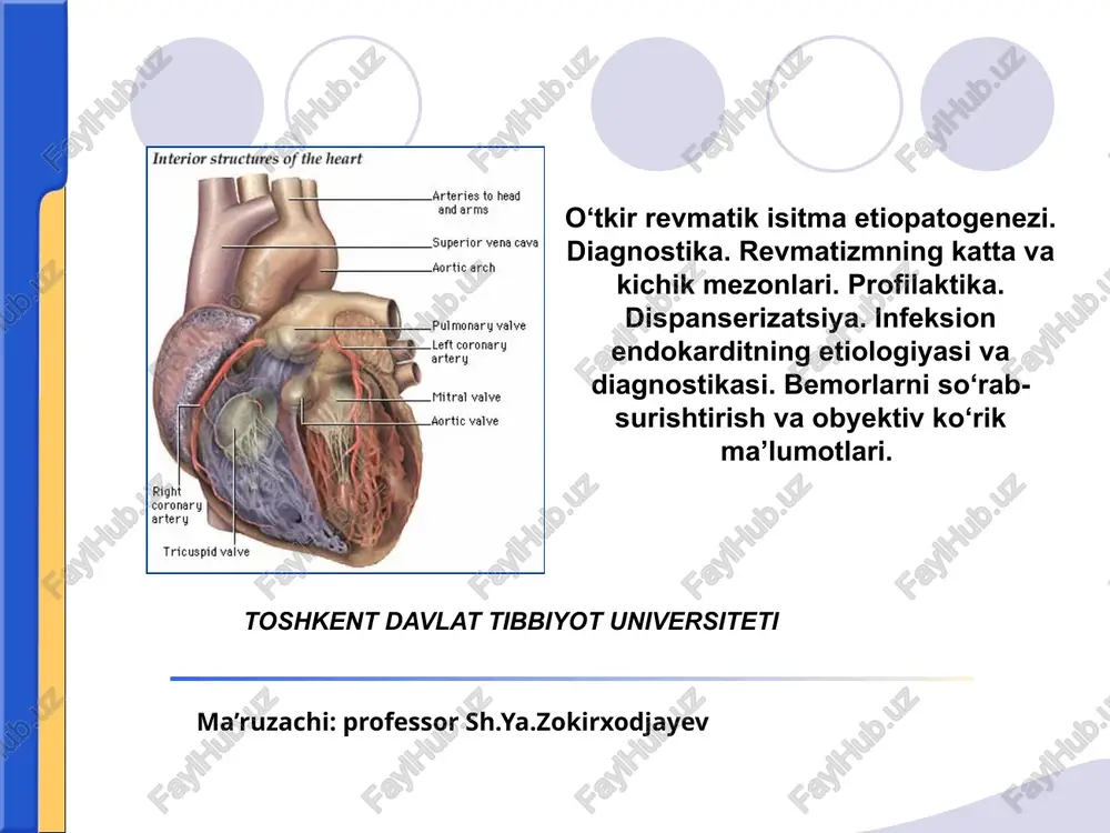 revmatizmning etiopatogenezi — PPTX