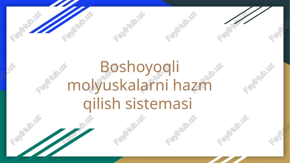 boshoyoqli molyuskalarni hazm qilish sistemasi — PPTX