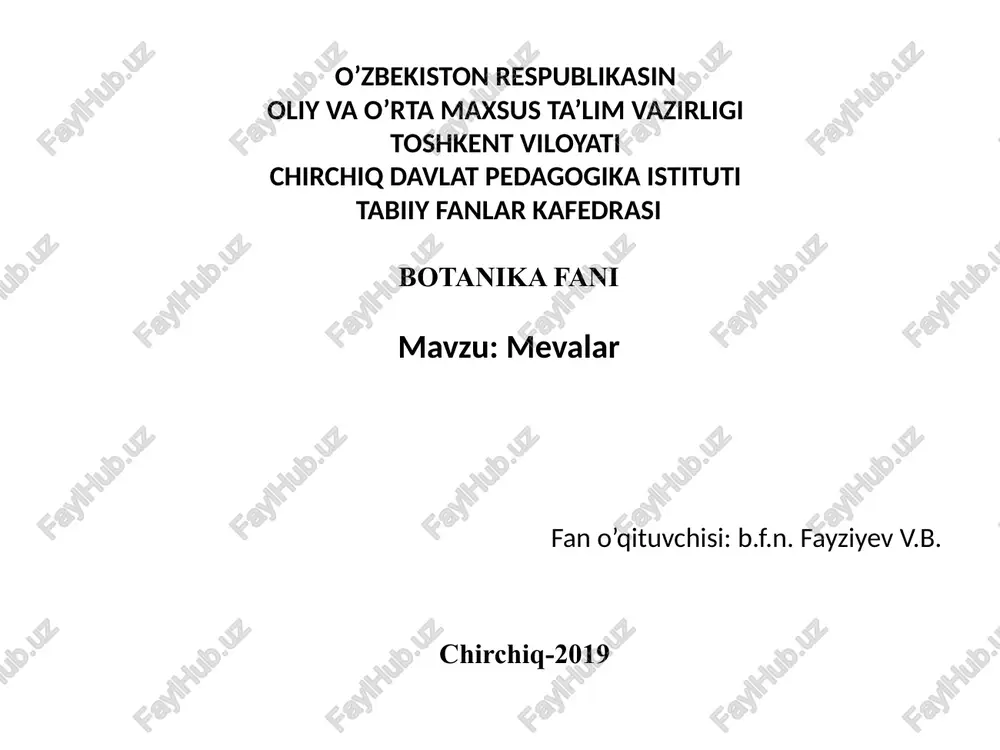 mevalar — PPTX