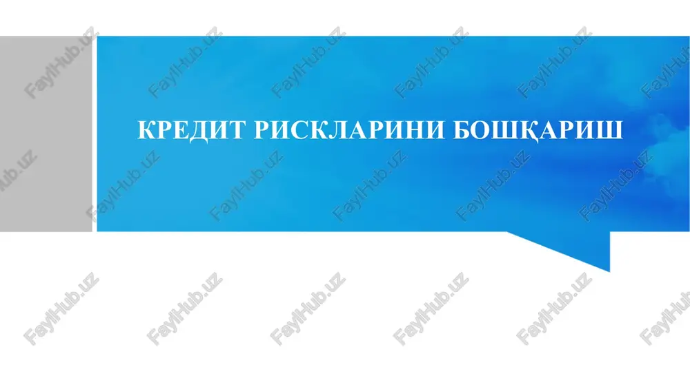 kredit risklarini boshqarish — PPTX