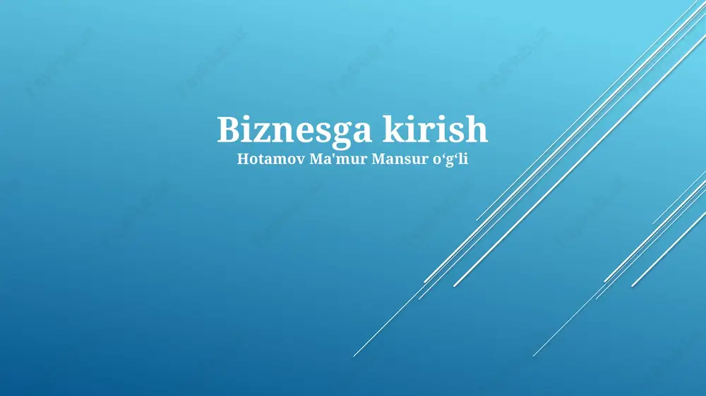 biznesga kirish — PPTX