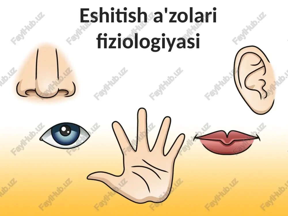 eshitisha'zolarifiziologiyasi — PPTX