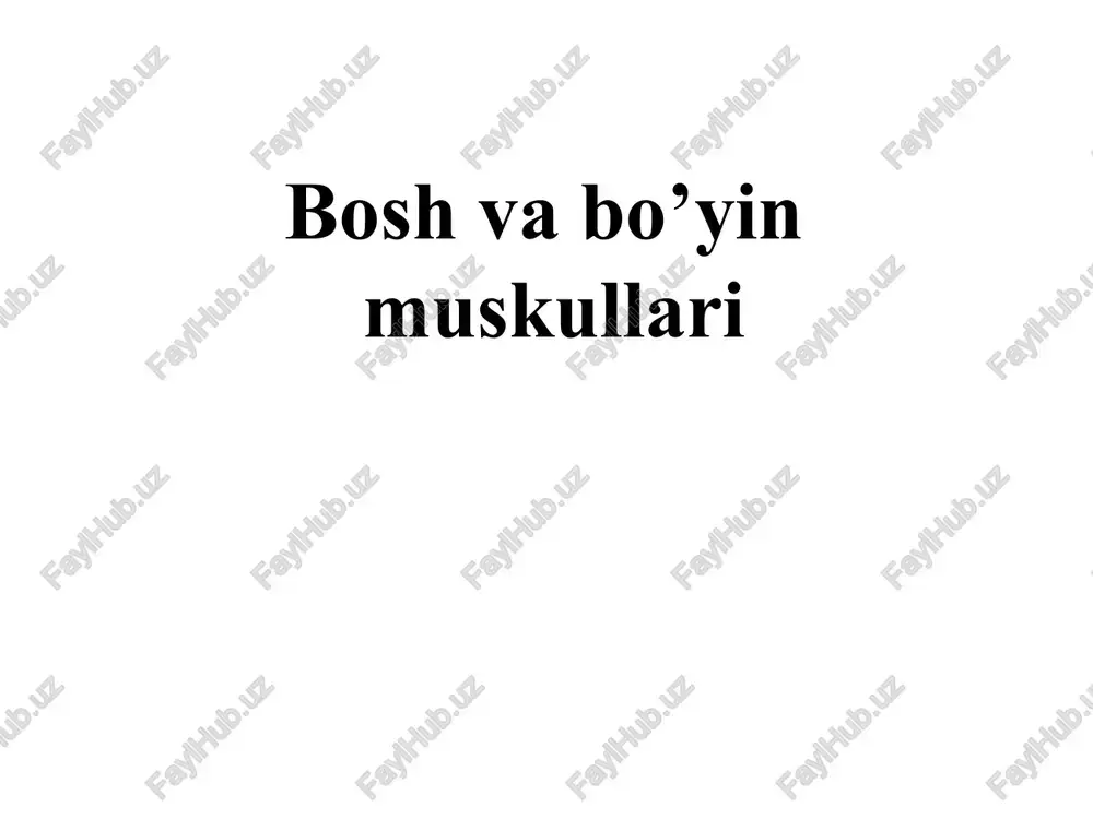 bo’yinmuskullari — PPTX