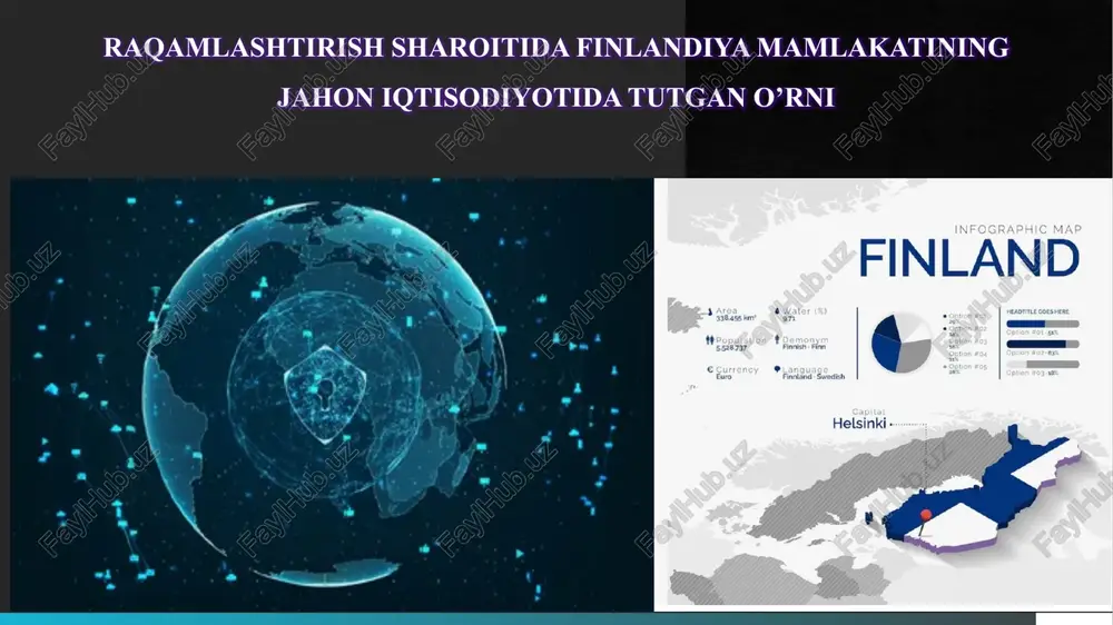 finlandiyada raqamli tarmoqlar — PPTX