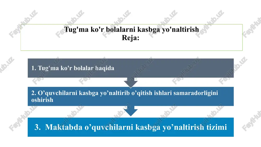 tug'ma ko'r bolalarni kasbga yo'naltirish — PPTX