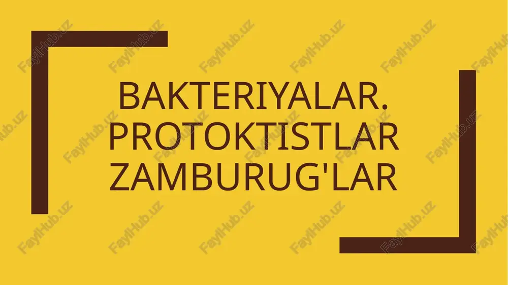 bakteriyalar.protoktistlarzamburug'lar — PPTX