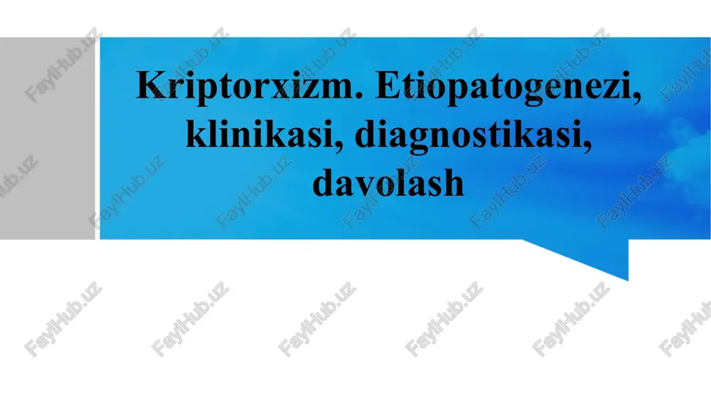 kriptorxizm — PPTX