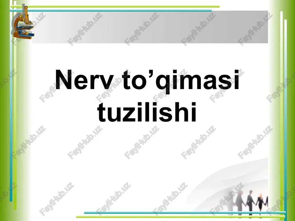 nerv to’qimasi tuzilishi — PPTX