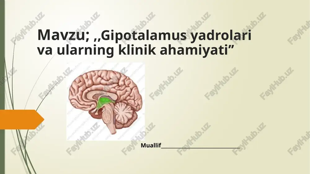 gipotalamusyadrolar va ularning klinikahamiyati — PPTX