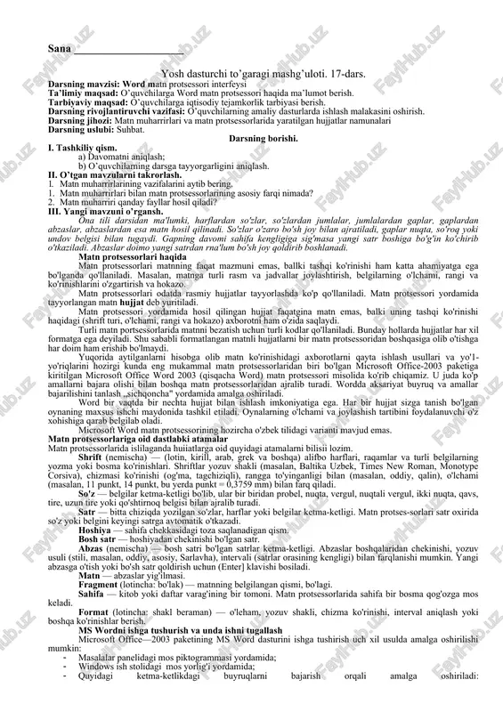 word matn protsessori interfeysi — DOC