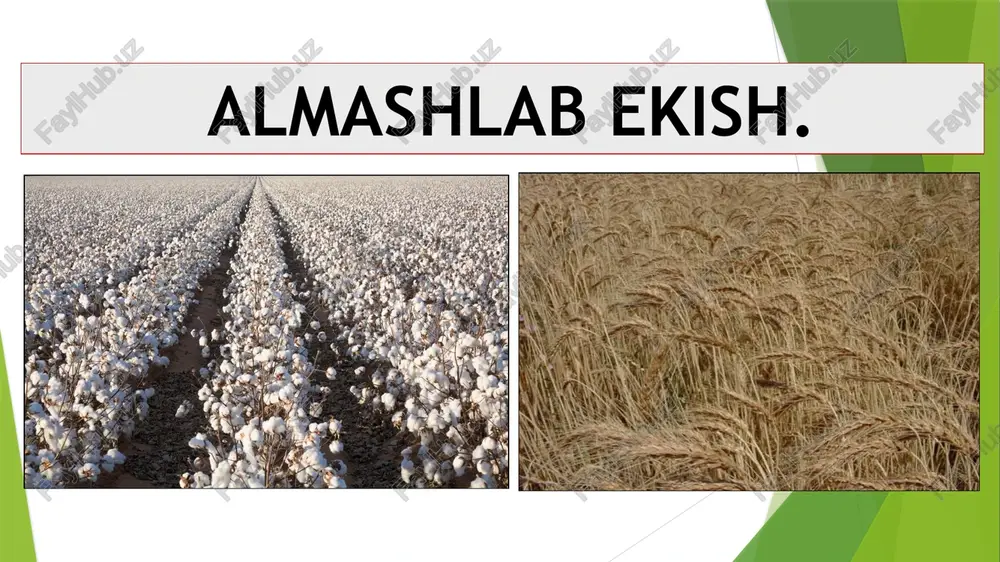 almashlab ekish — PPTX