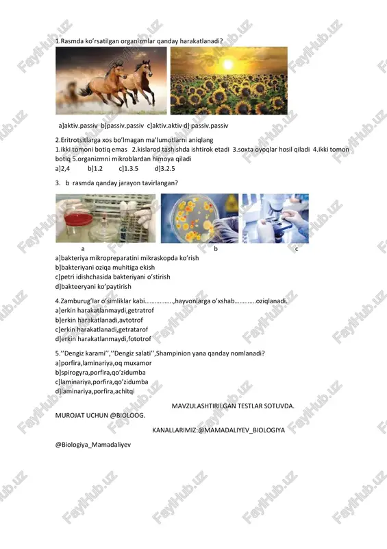 mavzulashtirilgan testlar sotuvda — PDF