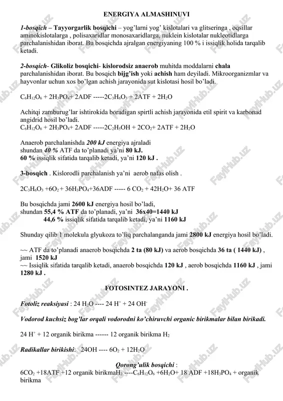 energiya almashinuvi — DOCX